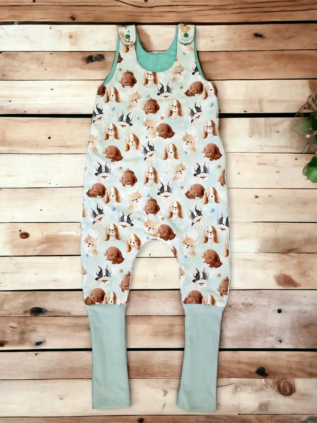 Cuki kutyusos átmeneti tipegő